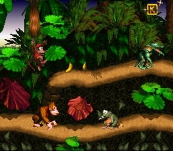 Donkey Kong Country 2
